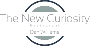 The-New-Curiosity-Dan-Williams